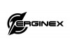 Erginex (Ерджинекс)